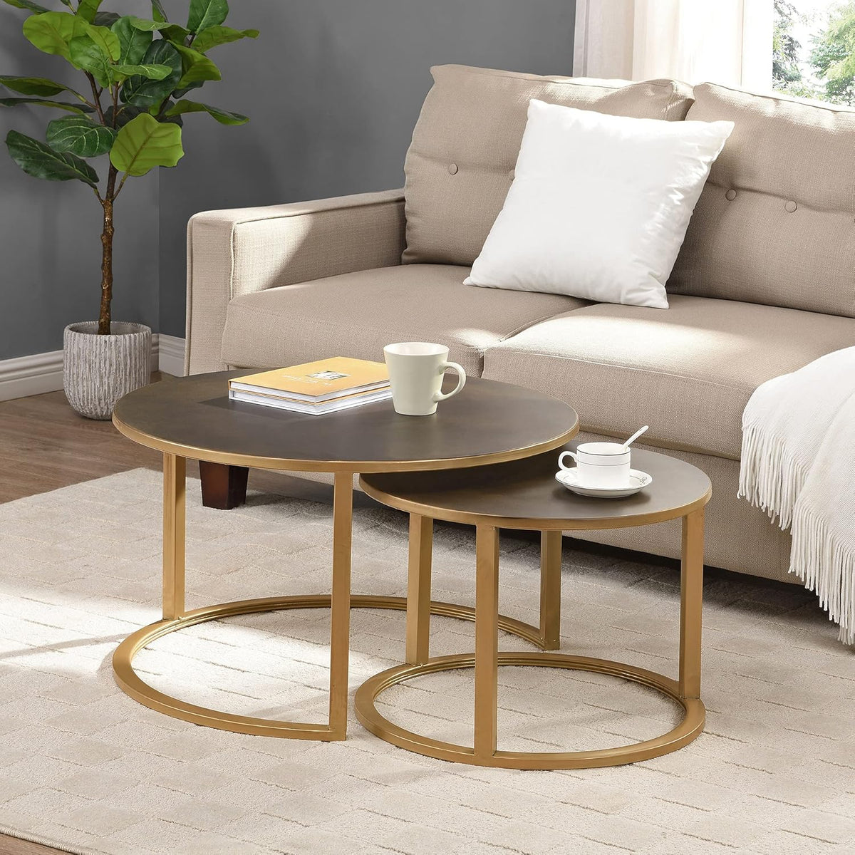 Silver Nesting Coffee Table 2-Piece Set O720