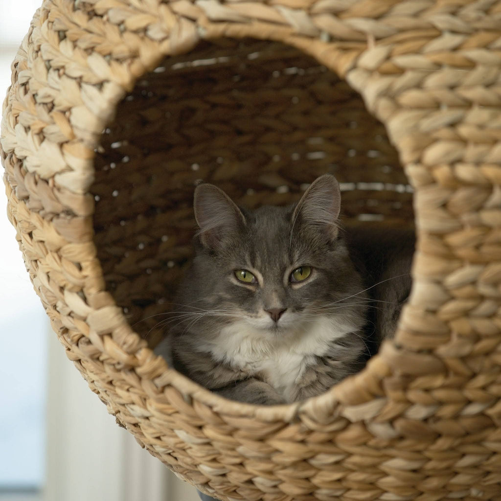 Natural Sphere Cat Tower F94011