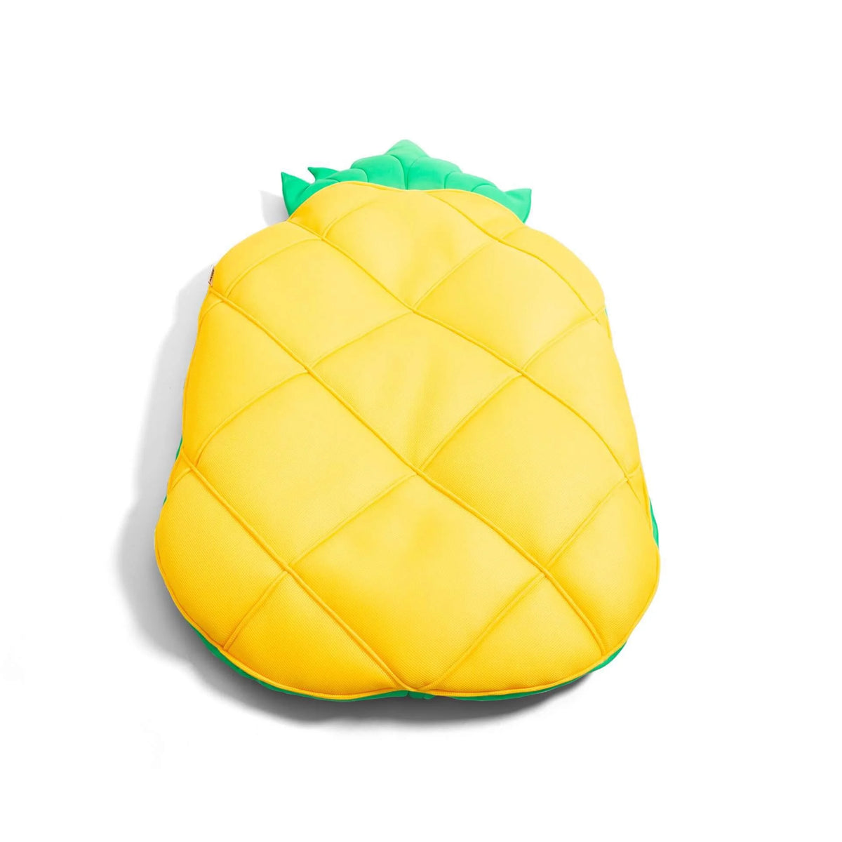 Fruit Float H789959
