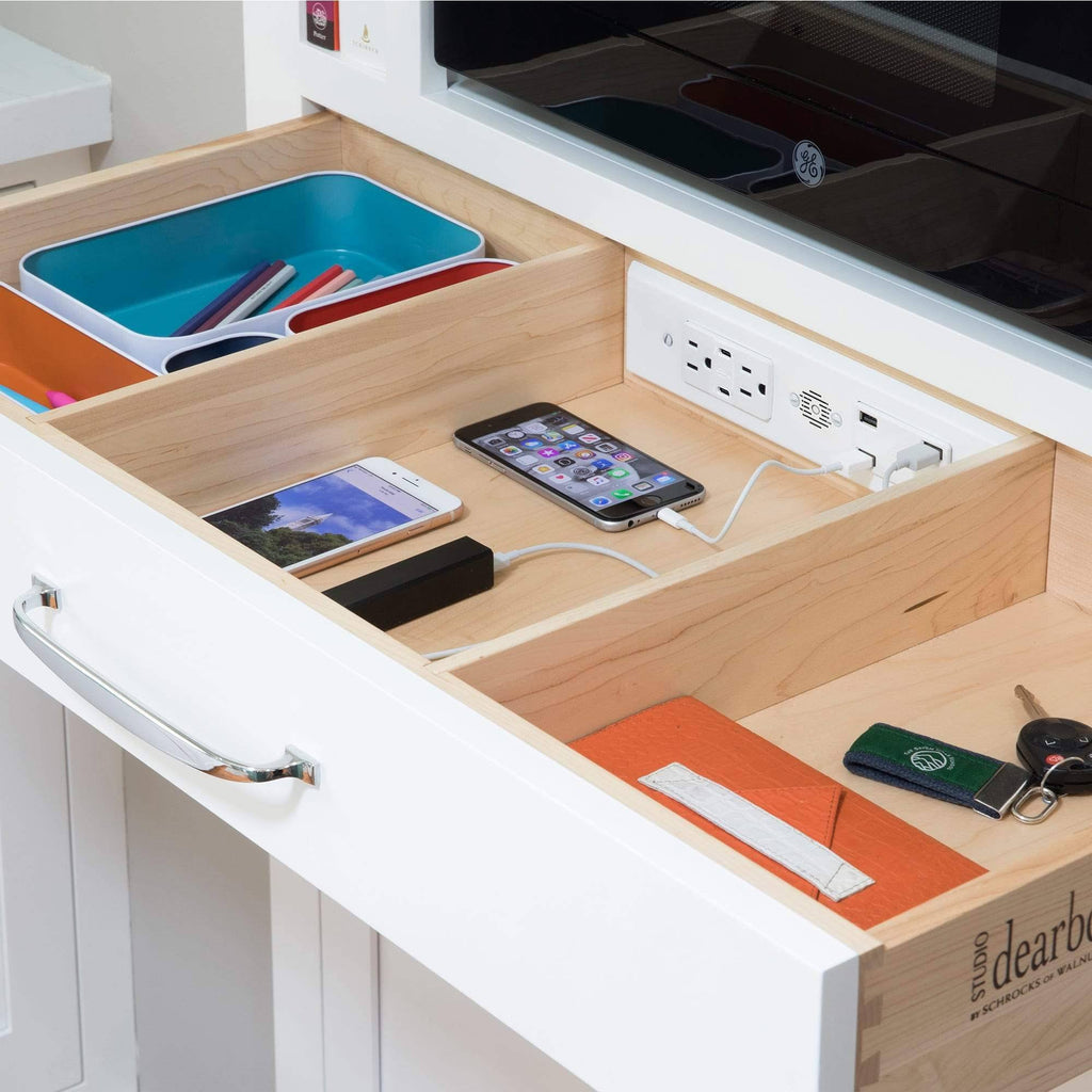 Black In-Drawer Outlet with 2 AC Outlets E2823