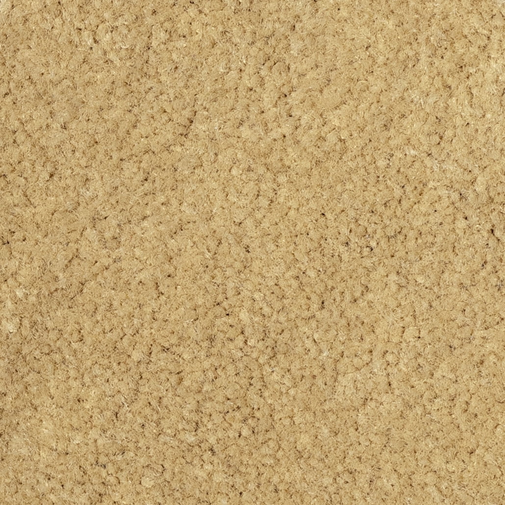 Beige Carpet Car Mats / Floor Mats B758