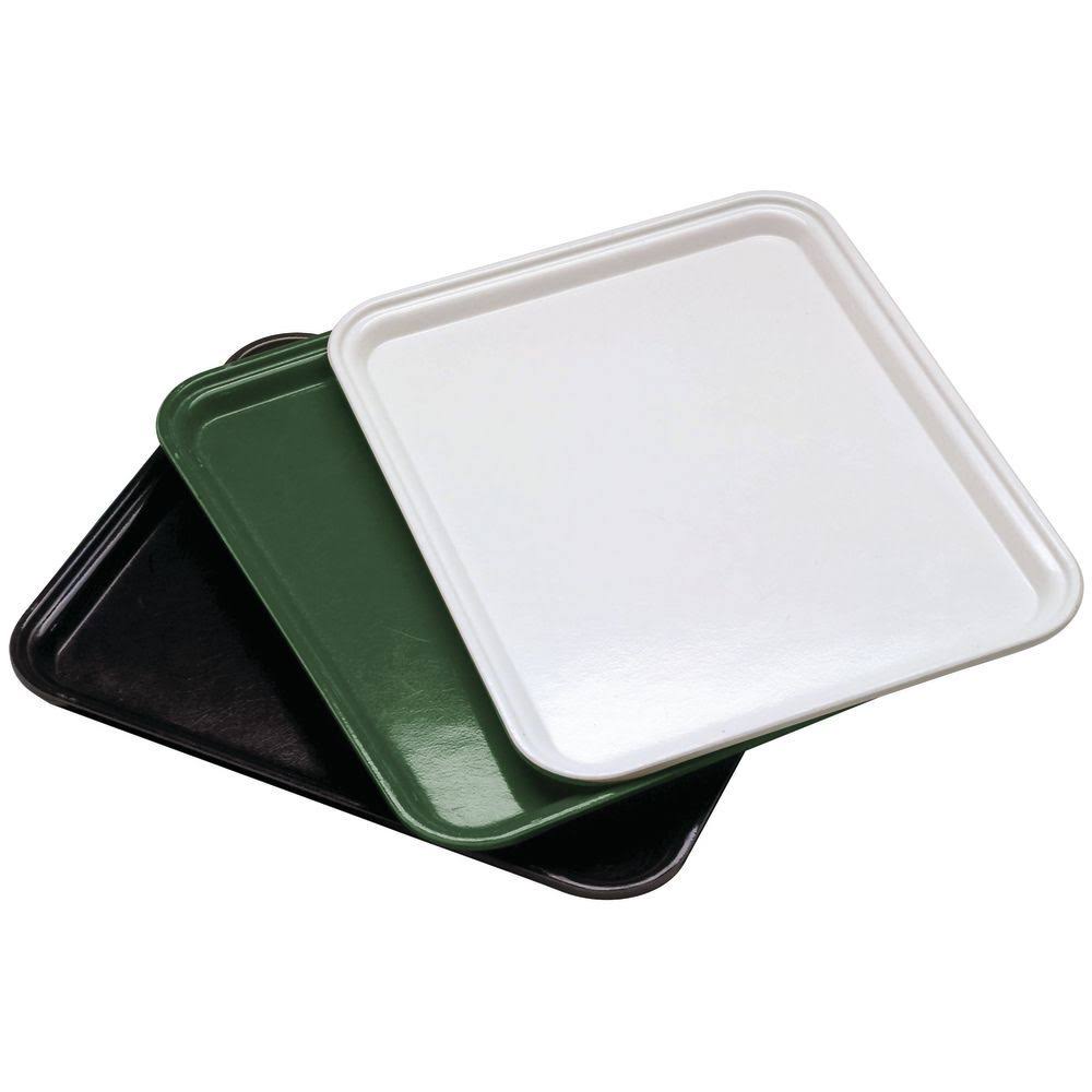 Camtray E4242