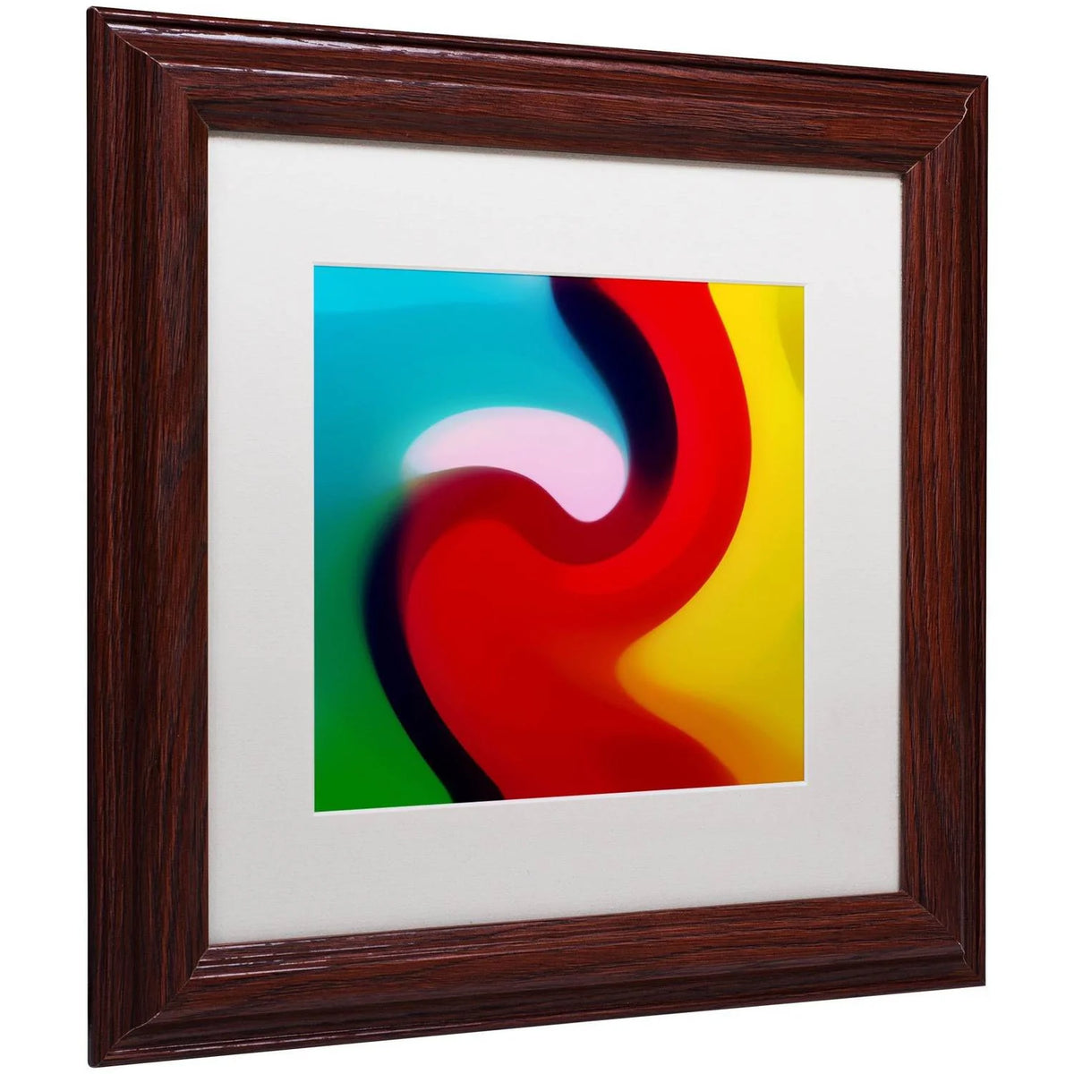 Canvas Art by Amy Vangsgard White Matte, Wood Frame L3968