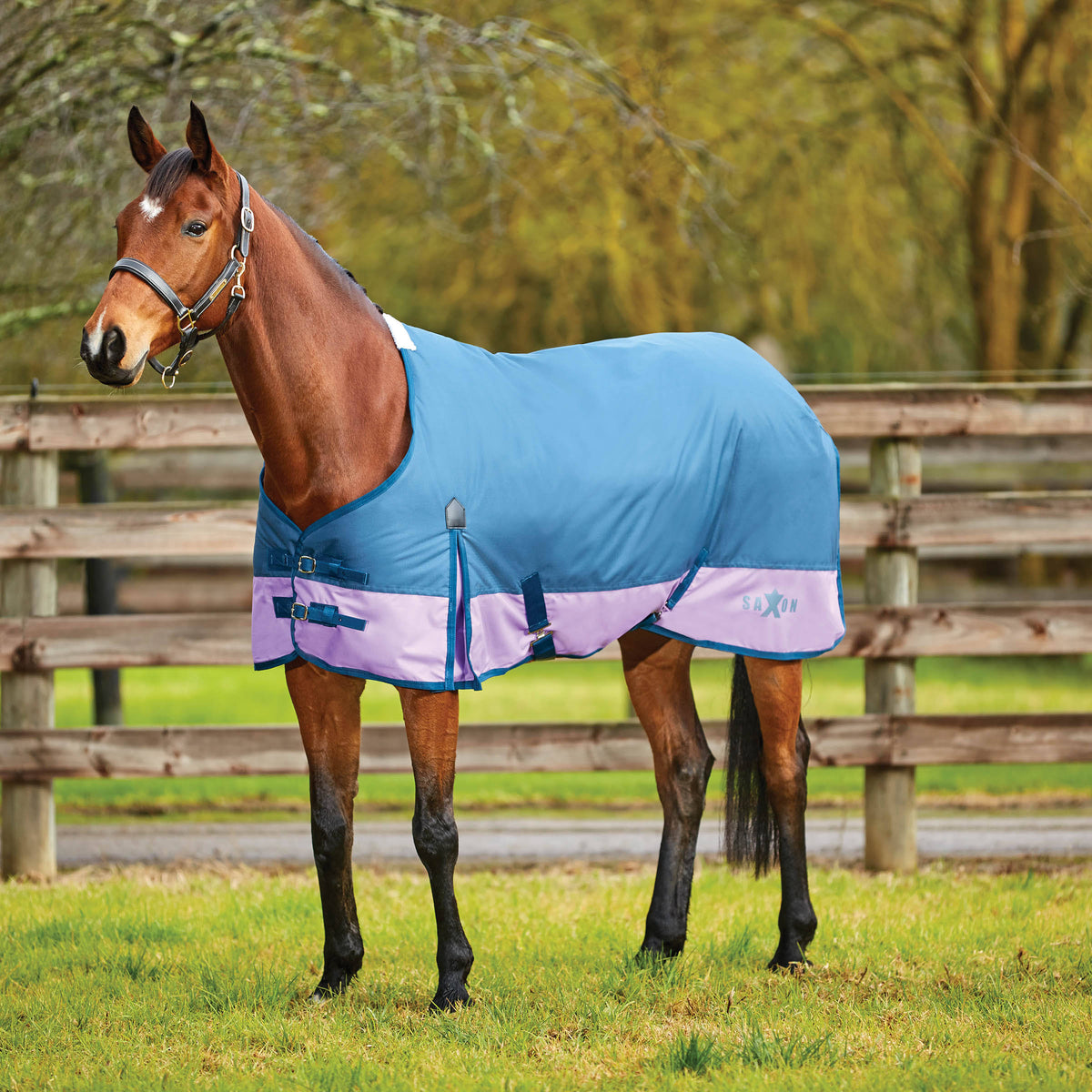 600d Gusset Standard Neck Dark Blue/Orchid 81x22 V51176