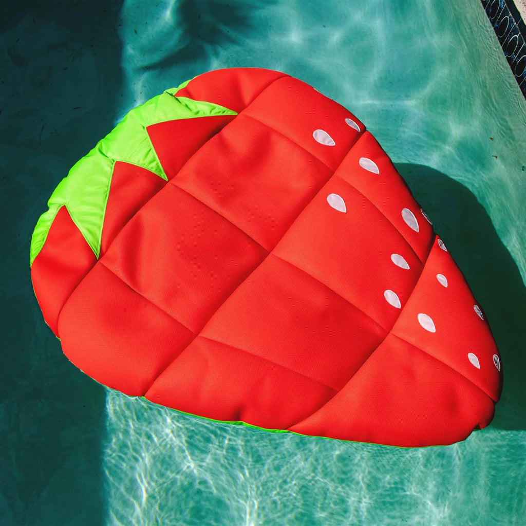 Fruit Float H789959