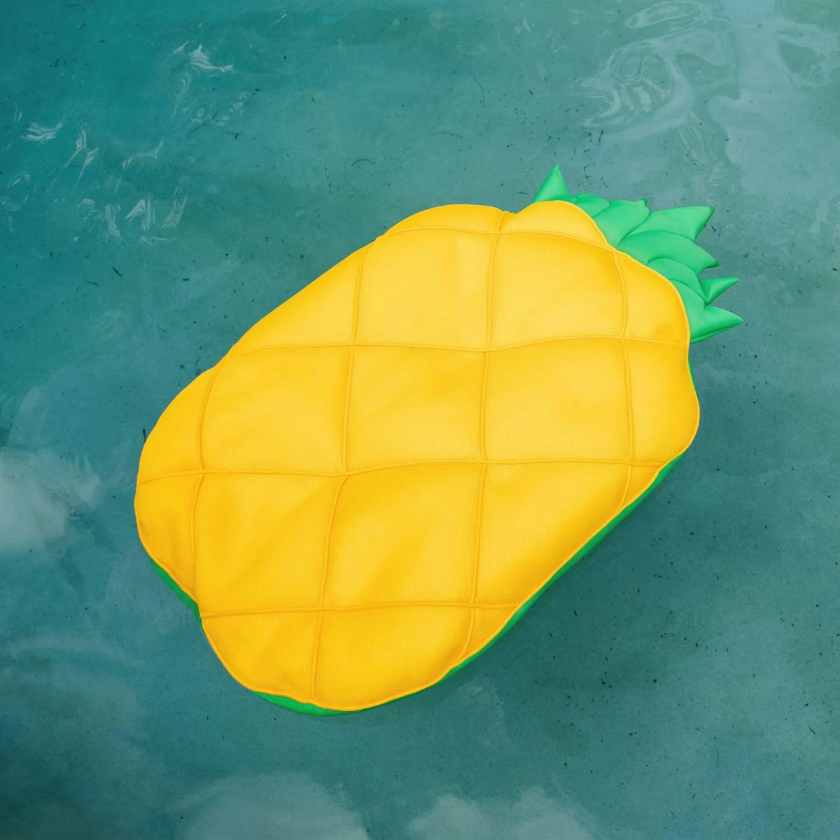 Fruit Float H789959