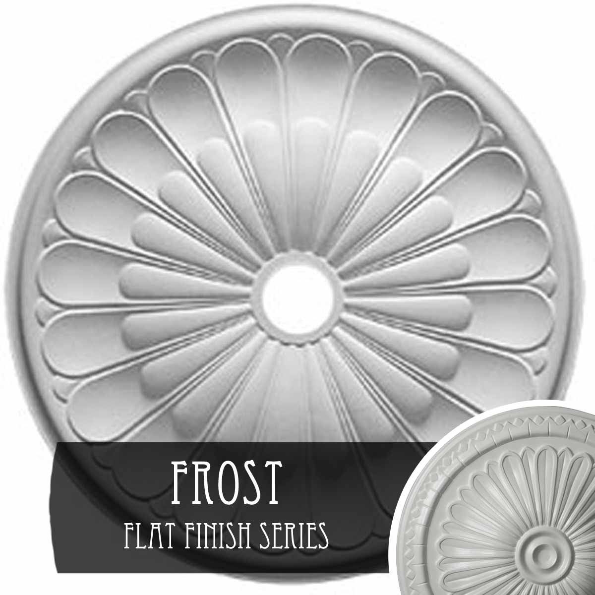 Frost Ceiling Medallion A84822