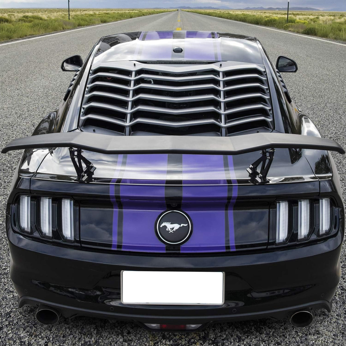 Universal Trunk Wings Spoiler High Kick V Style Rear Spoiler Wing Tail Lid (61.8inches Length) T313