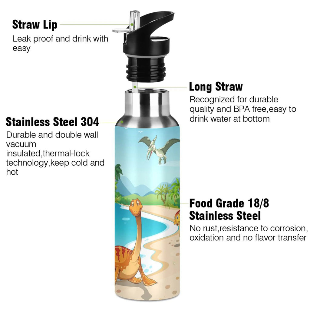 Stainless Steel Vacuum Insulated Water Bottle with Straw Lid 20 OZ S62081