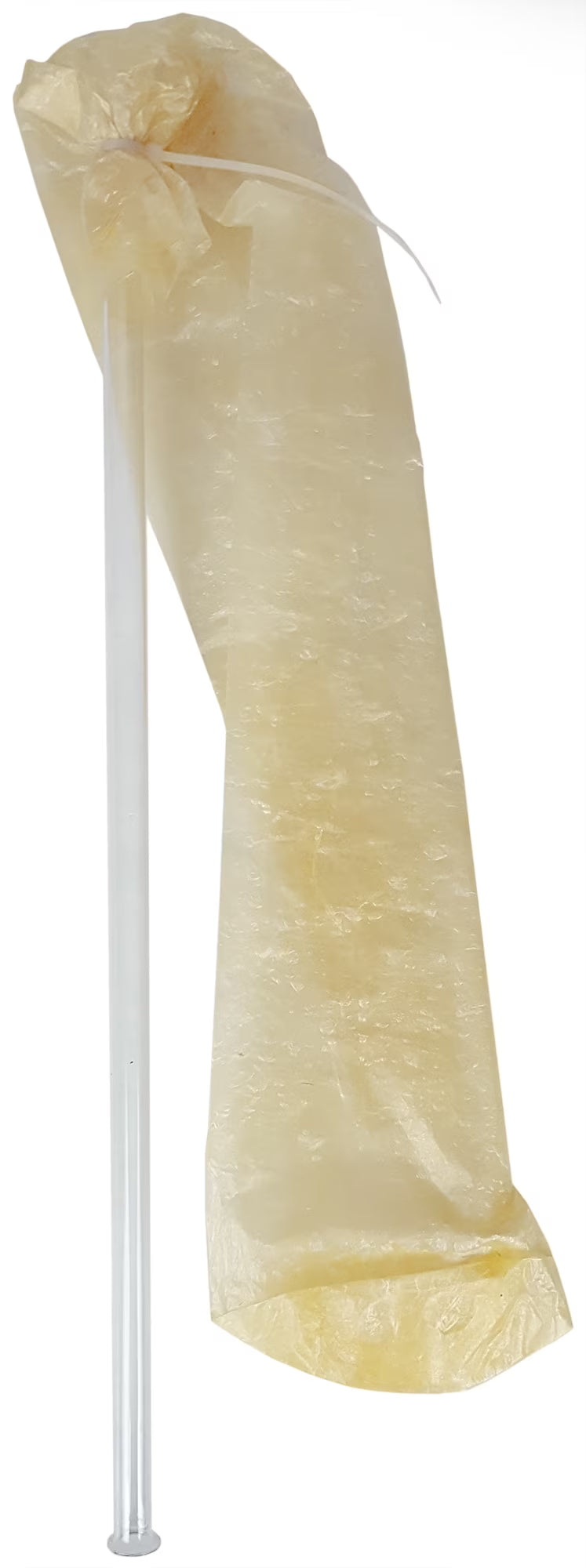 Osmosis Apparatus Bladder Form with Glass Tube R8105