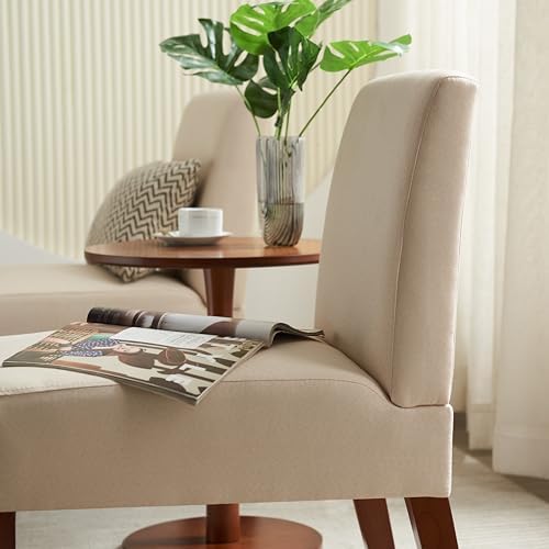 Beige Fabric Upholstered Accent Arm Chair with Wood C663680