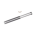 Pair of 2 Rear Tailgate Lift Support for 1979-1982 Nissan 210 Wagon 4 Door P752200