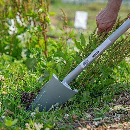 Carbon Steel Shovel 32-Inch Red Y704063