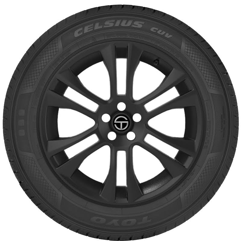 Celsius CUV Tire 275/55R20 117V N1920