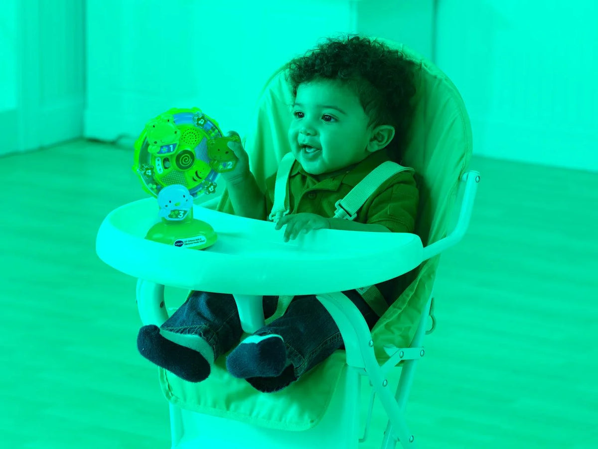 Spin and Discover Ferris Wheel Toddler Learning Toy O5861
