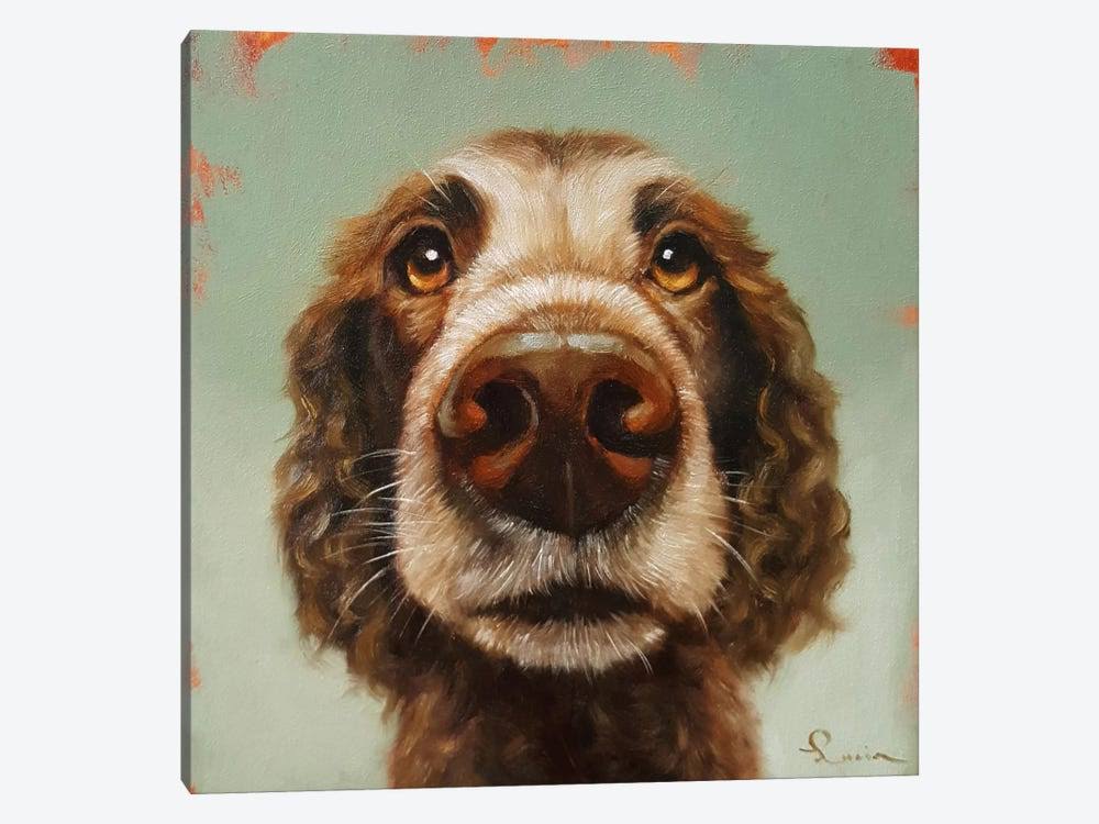 Canvas Art Picture of Dog W628938