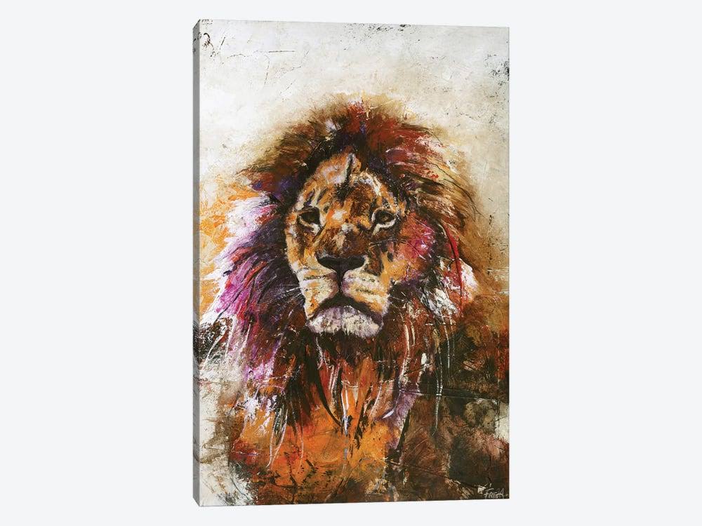 Tiger Vision Print Canvas Art O646