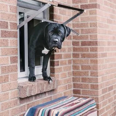 Bronze Pet Door Flap J585148