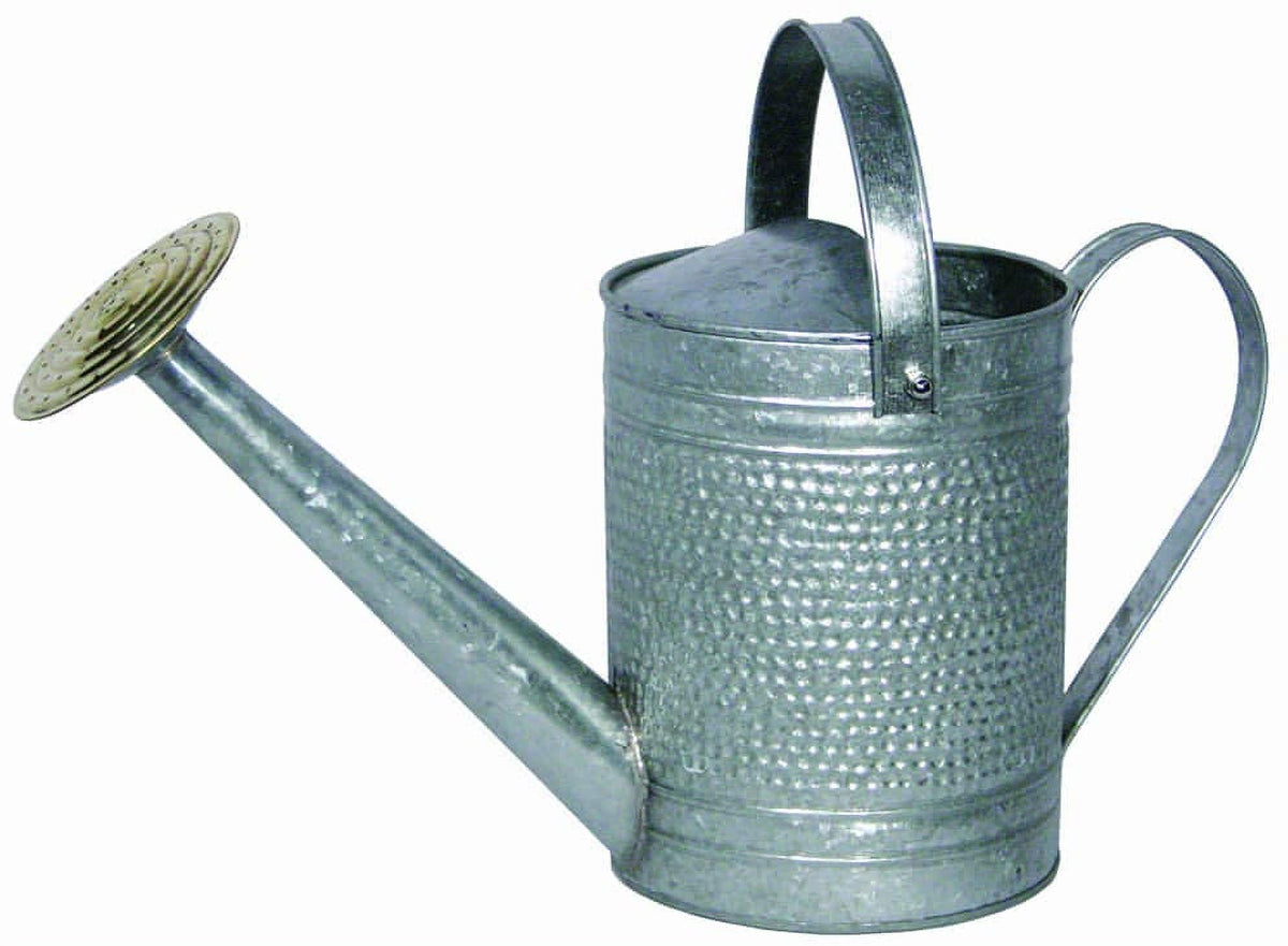 Galv Water Can Q922