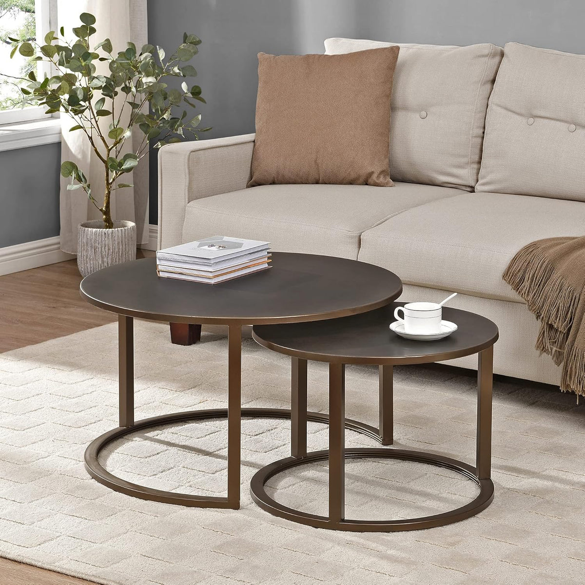 Silver Nesting Coffee Table 2-Piece Set O720