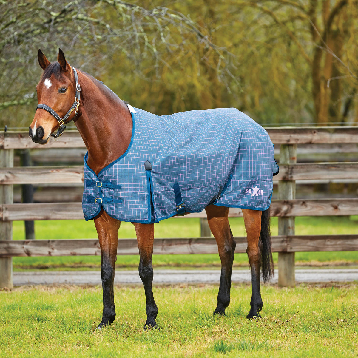 600d Gusset Standard Neck Dark Blue/Orchid 81x22 V51176