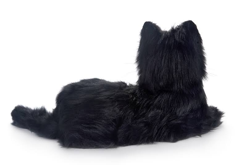 Black White Tuxedo Cat F196