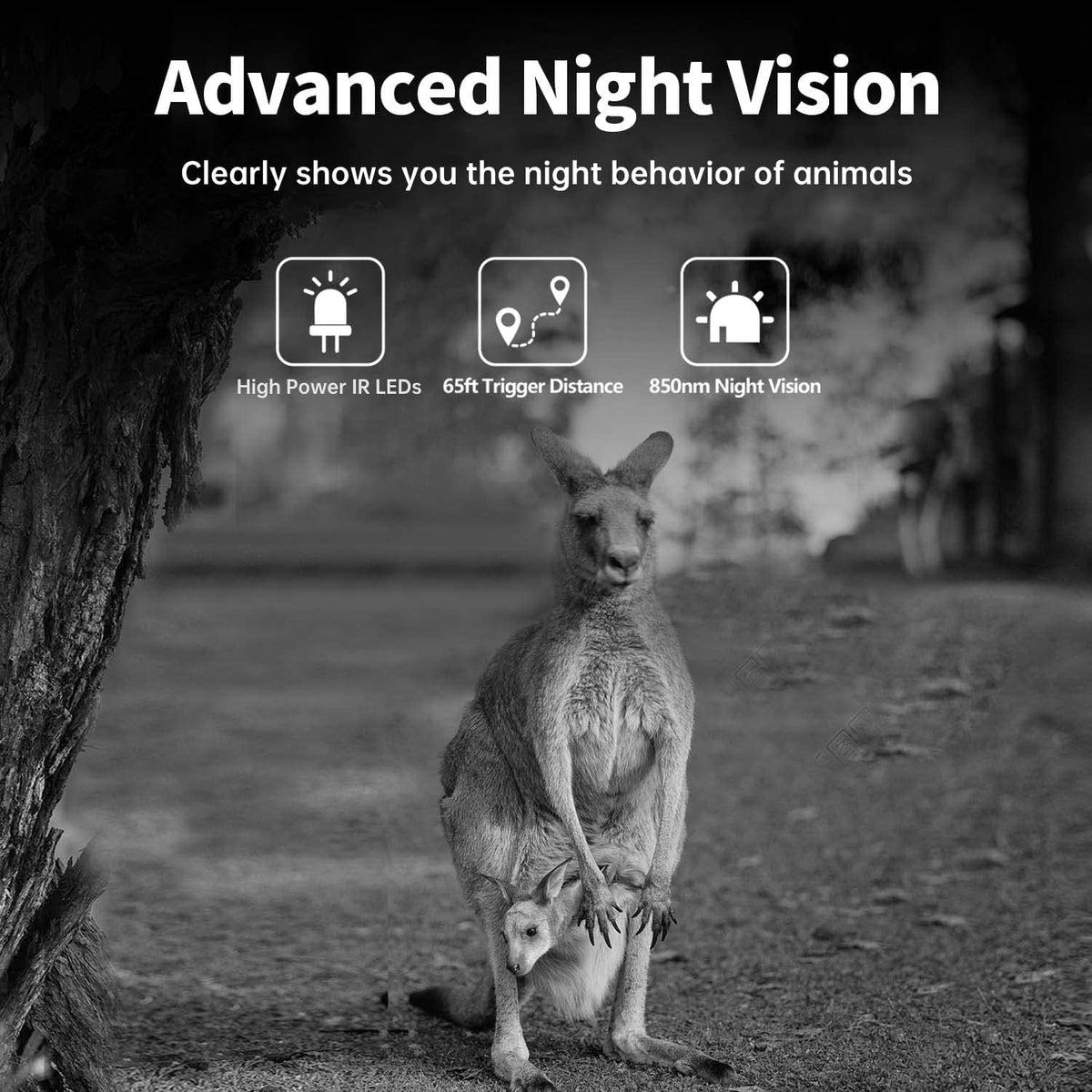 32MP 4K IP66 Waterproof Trail Camera with Night Vision and 3 Passive Infrared Motion Sensors, 2.4 LCD J75242