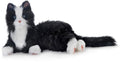 Black White Tuxedo Cat F196