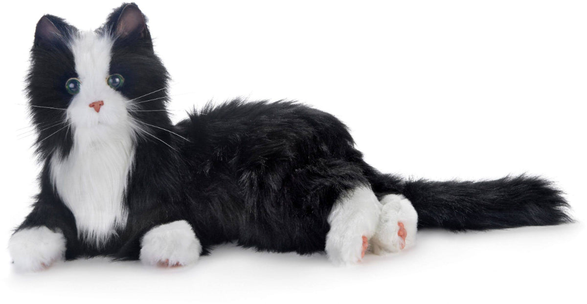 Black White Tuxedo Cat F196