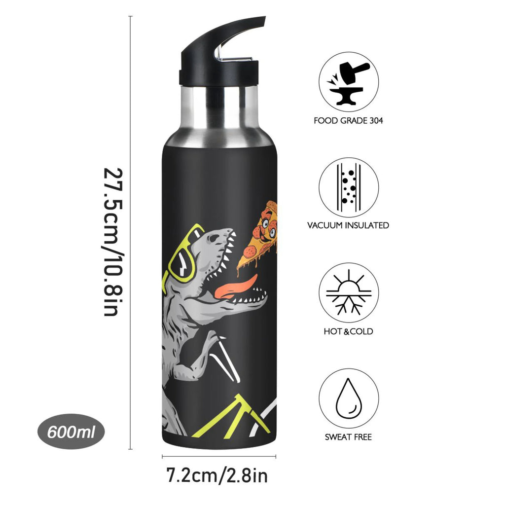 Stainless Steel Insulated Water Bottle with Straw Lid H549