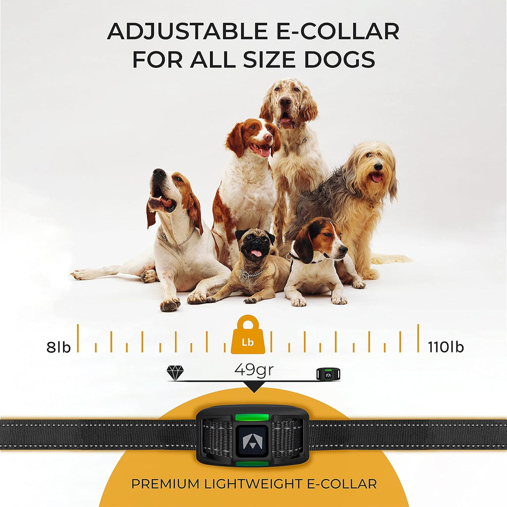 2 Pack Rechargeable Dog Training Collar with 2 Collars W34887