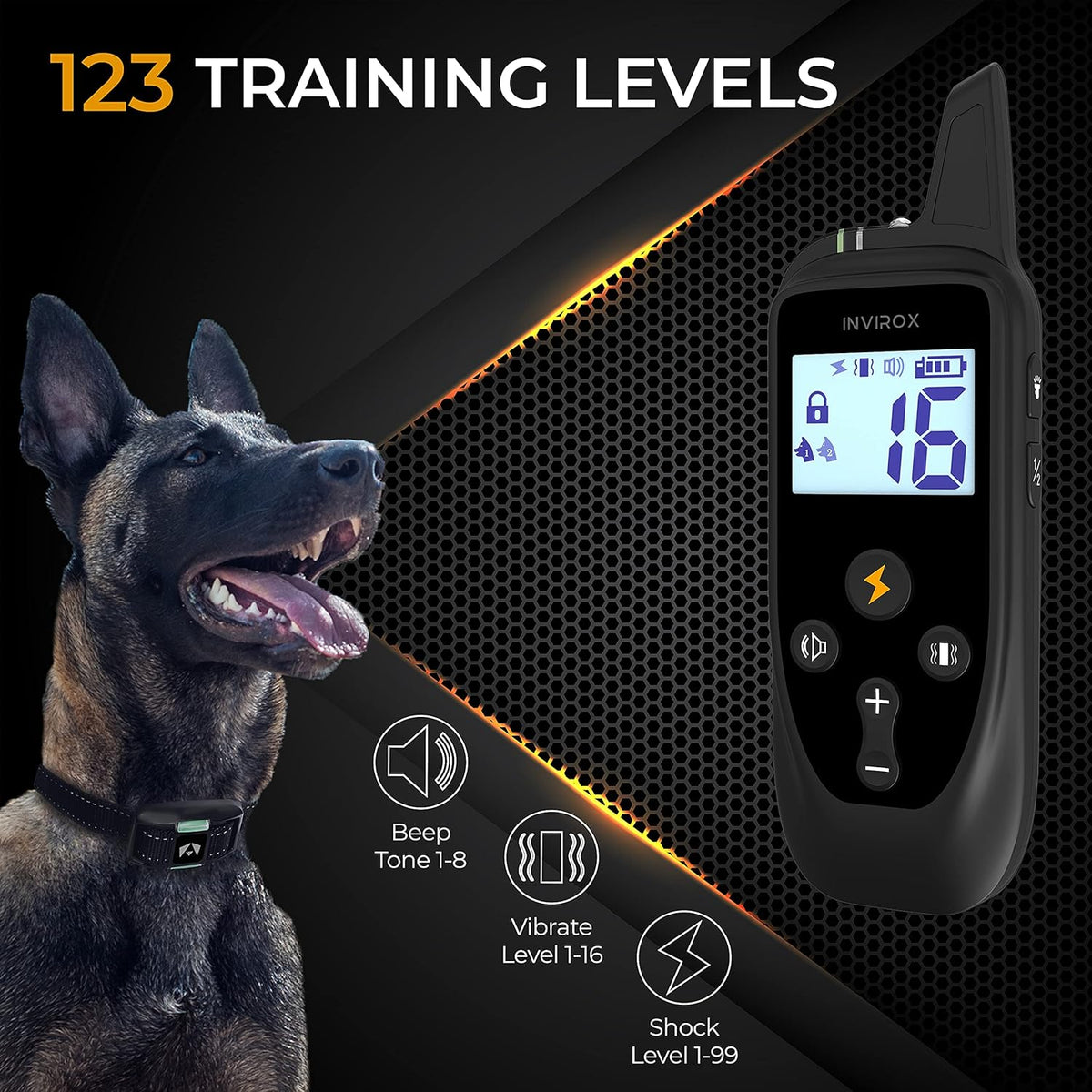 2 Pack Rechargeable Dog Training Collar with 2 Collars W34887