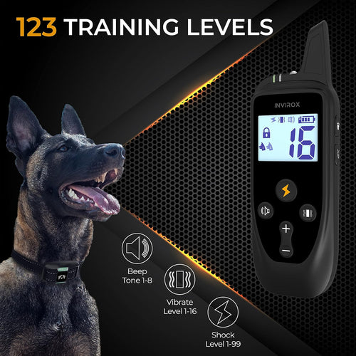 2 Pack Rechargeable Dog Training Collar with 2 Collars W34887