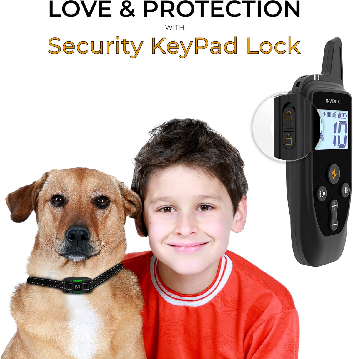 2 Pack Rechargeable Dog Training Collar with 2 Collars W34887