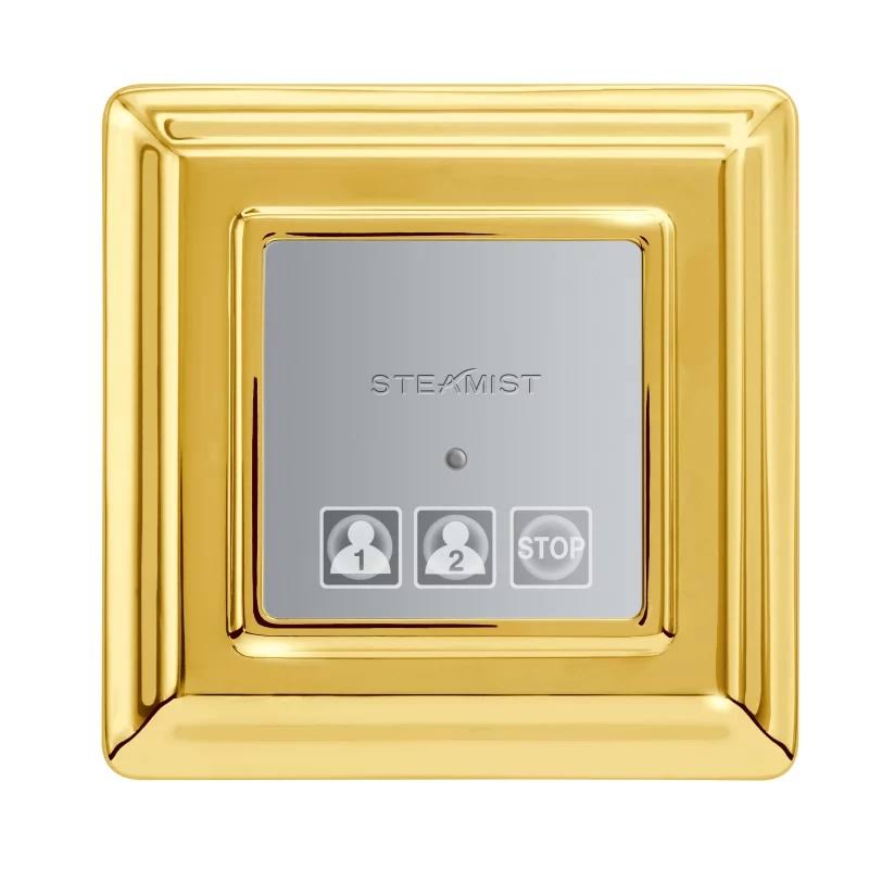 Polished Gold Traditional Control T56804